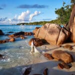 photographe de mariage seychelles